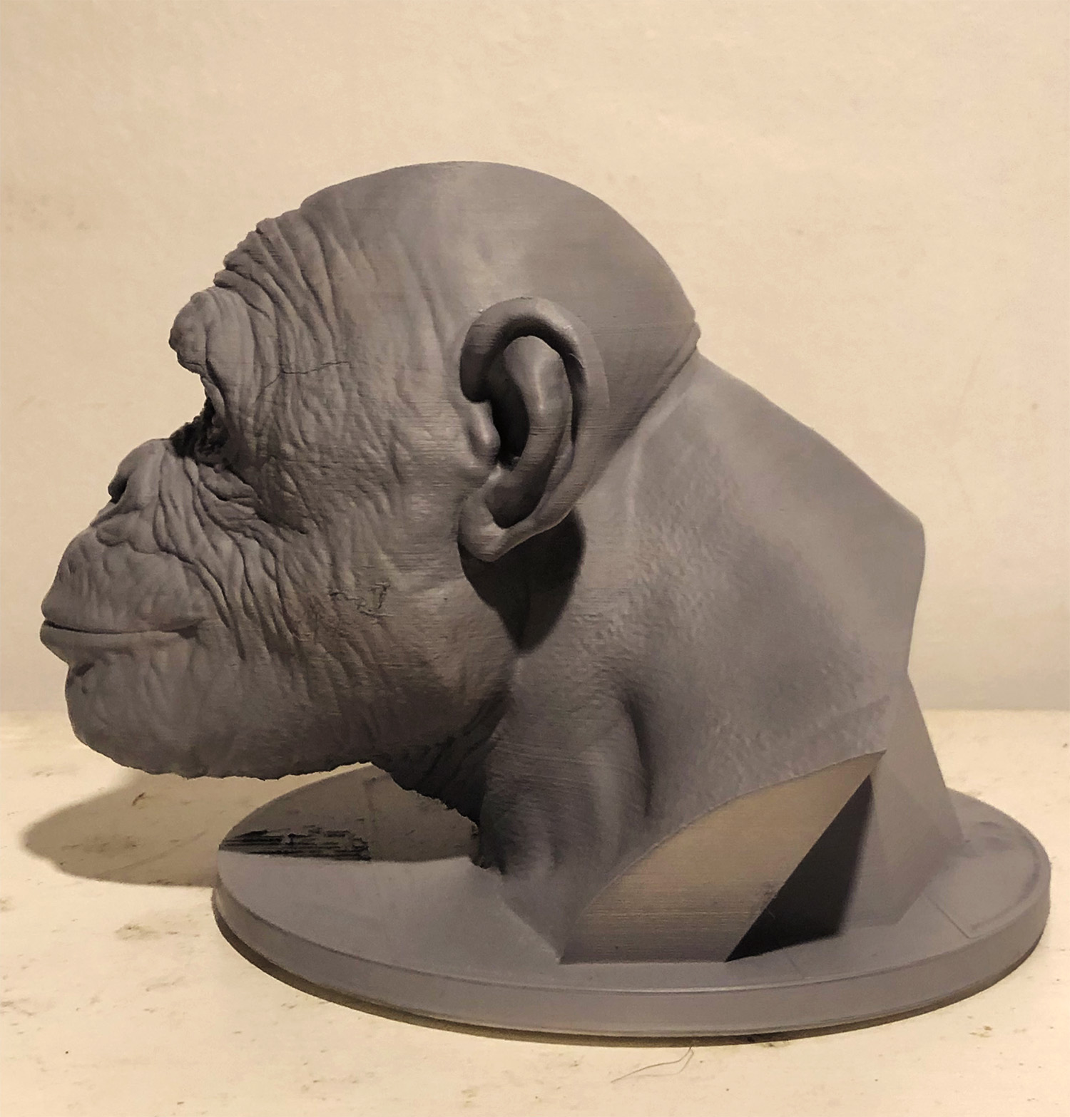 bonobo_e