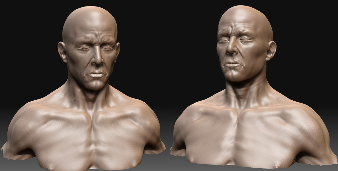 anatomy_14.jpg