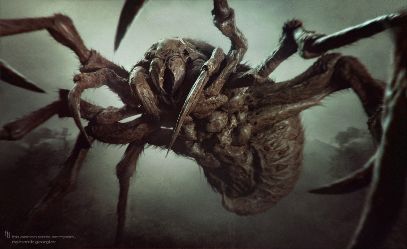spider-(6)-8341312459.jpg