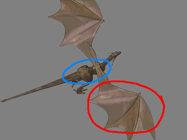 wings.jpg