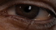 thumb.jpg