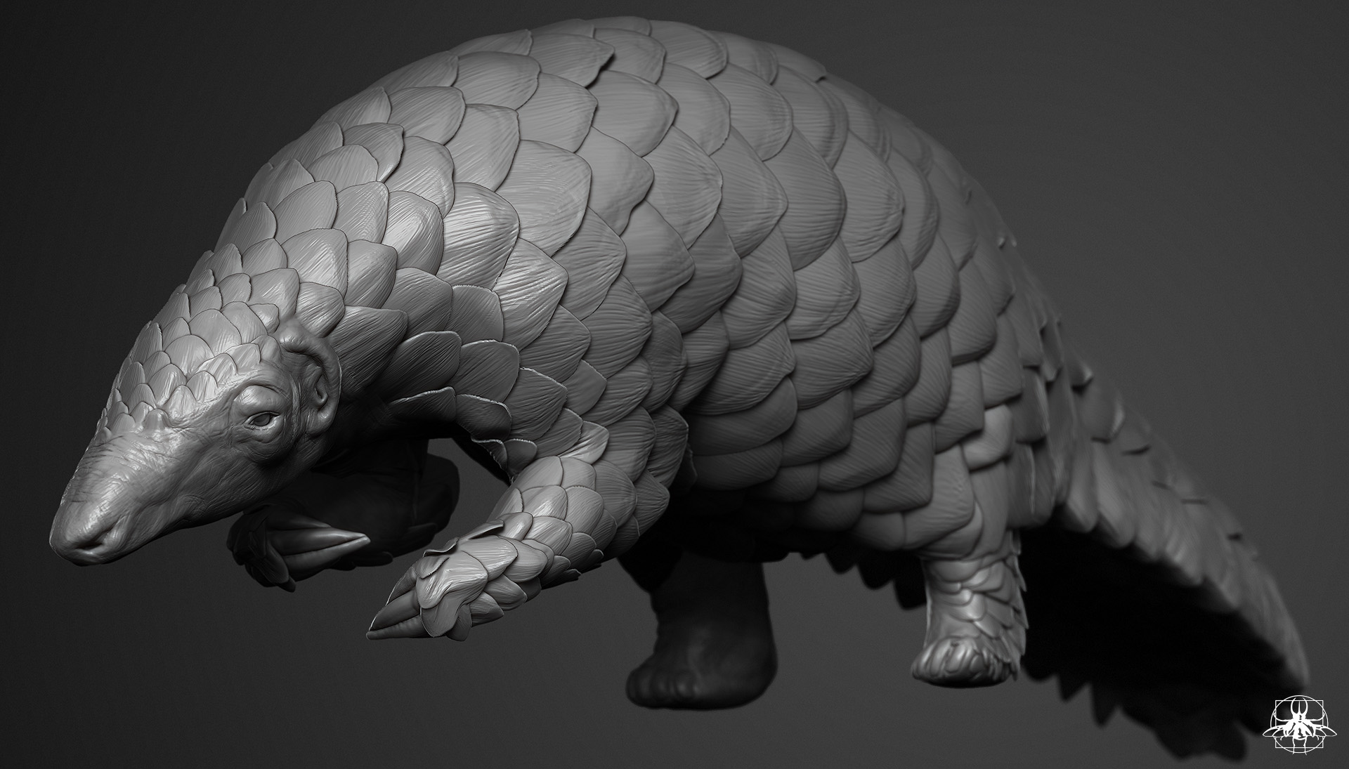 pangolin_13.jpg