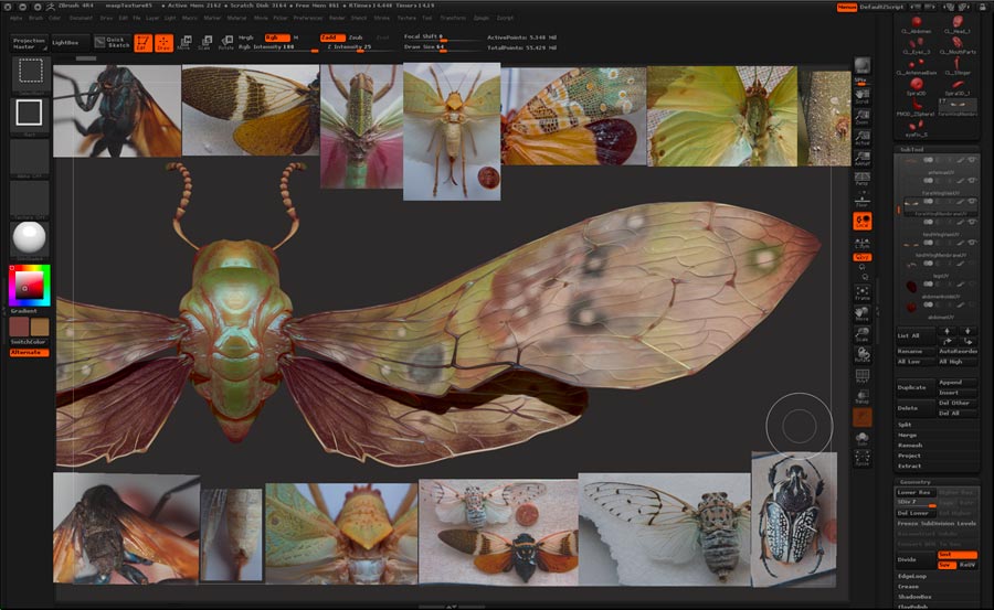 sphecomyrma_ZB01.jpg