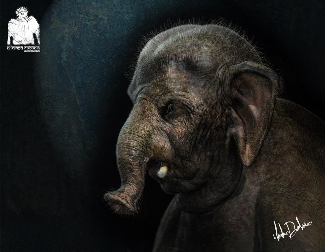 hombreelefante2-web.jpg