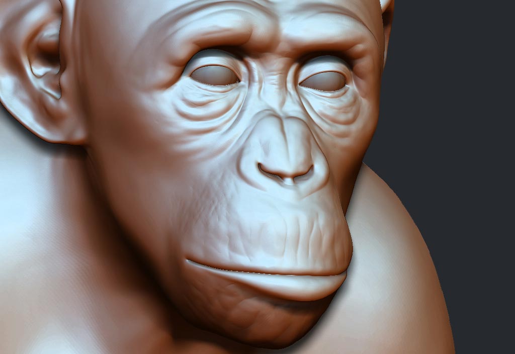 chimpCloseUp.jpg