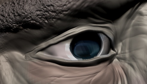 EYEEEE.jpg