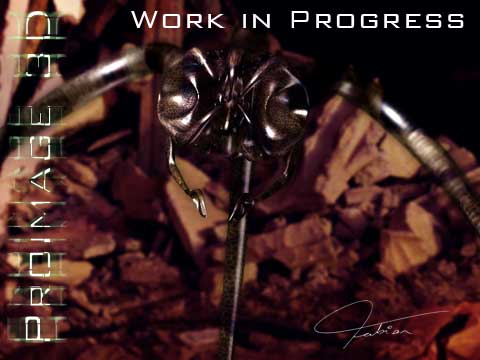 spider1.jpg