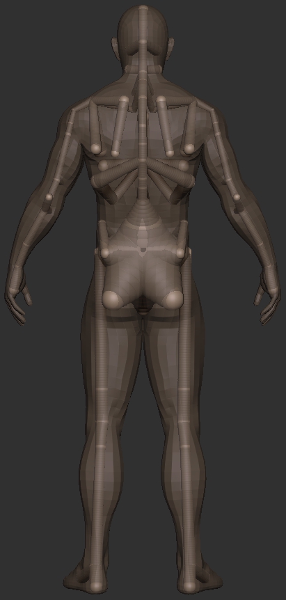 zskeletonback.jpg