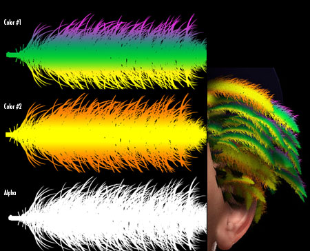 feather.jpg