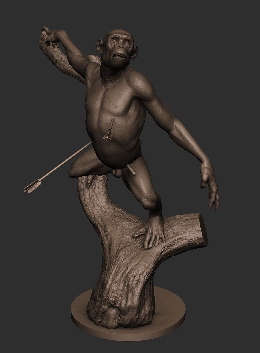 ape C.jpg