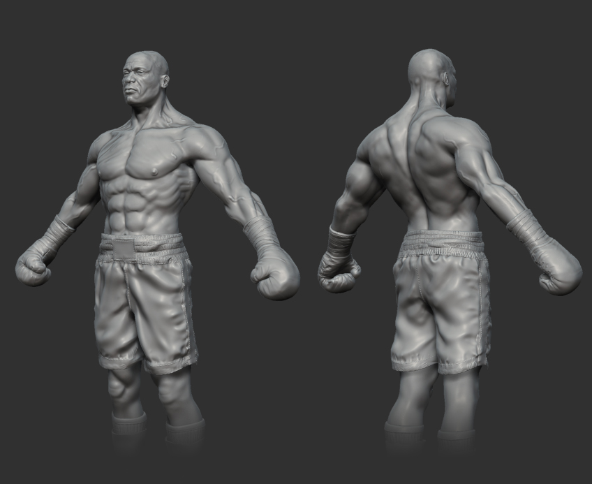 boxer_gray.jpg