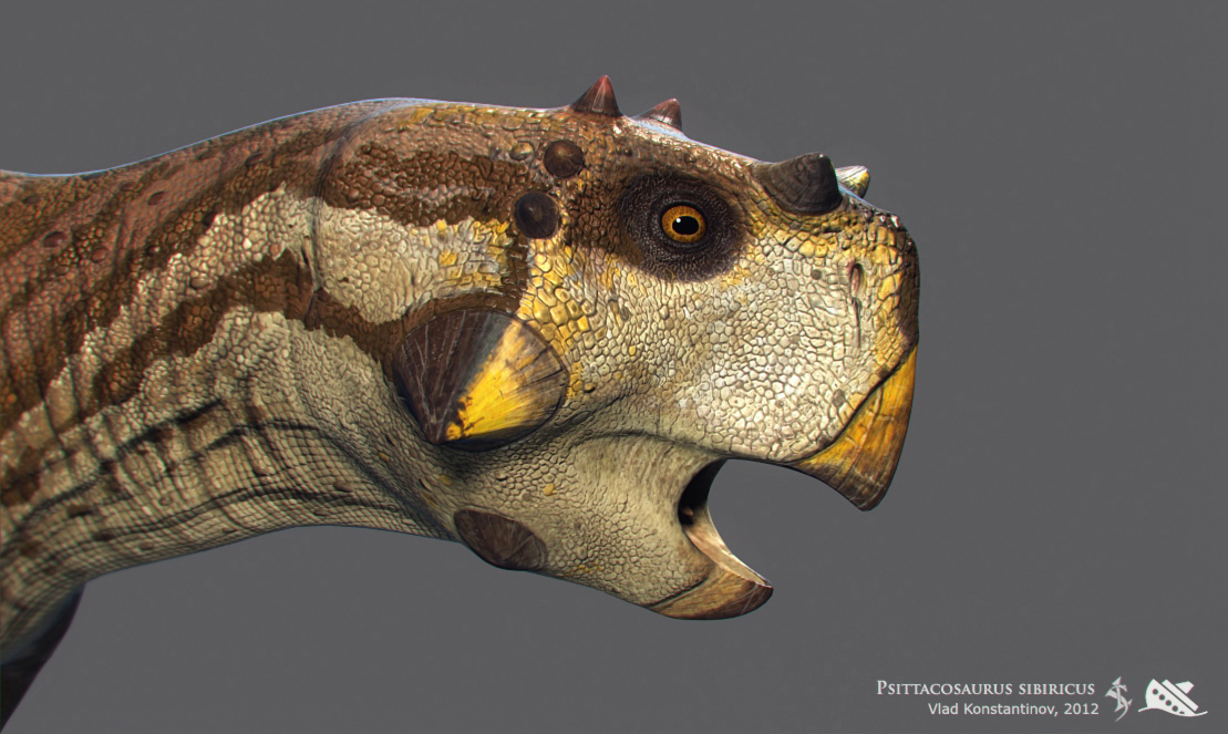 Psittacosaurus02.jpg