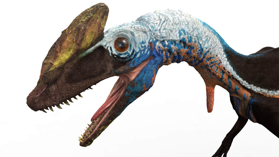 guanlong2.jpg