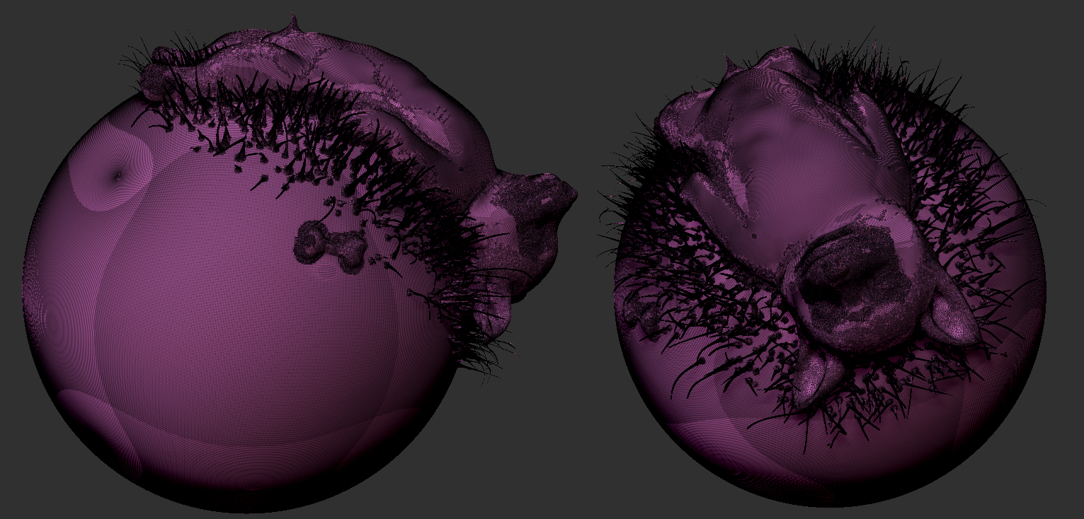 zbrush.jpg