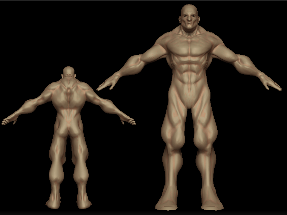 body.gif