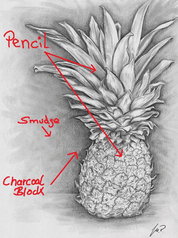 Pineapple 01.jpg