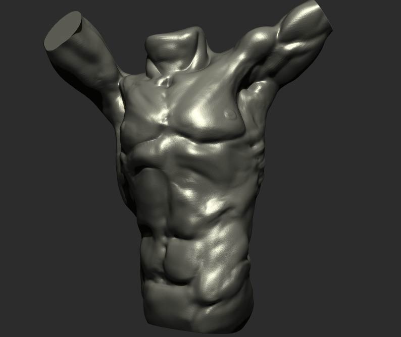 torsogld.jpg