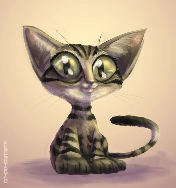 kitten.jpg