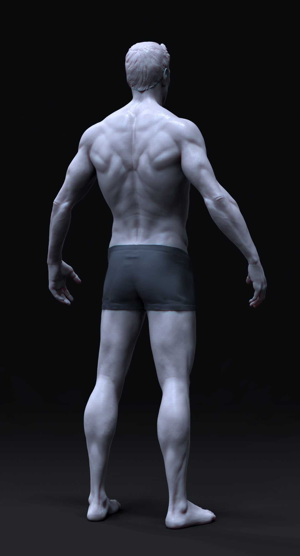 finalRenderBack.jpg