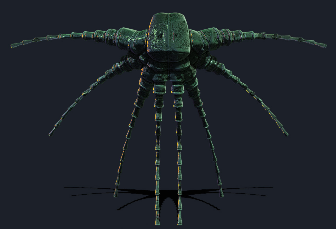 bug.jpg