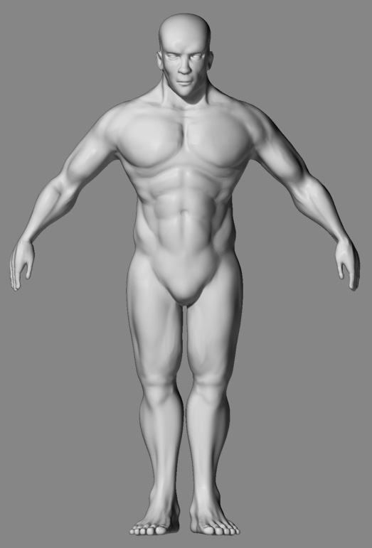 male_front1.jpg