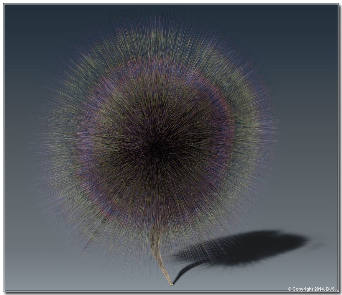 DandelionTuft.jpg