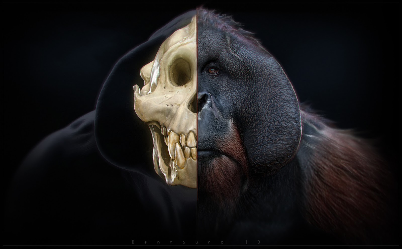 TANG_render_skull4_BM.jpg