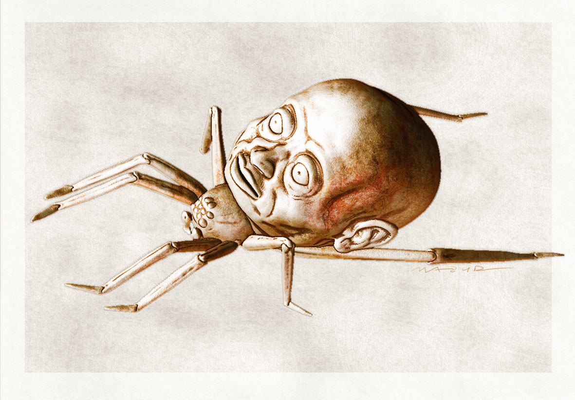spider.jpg