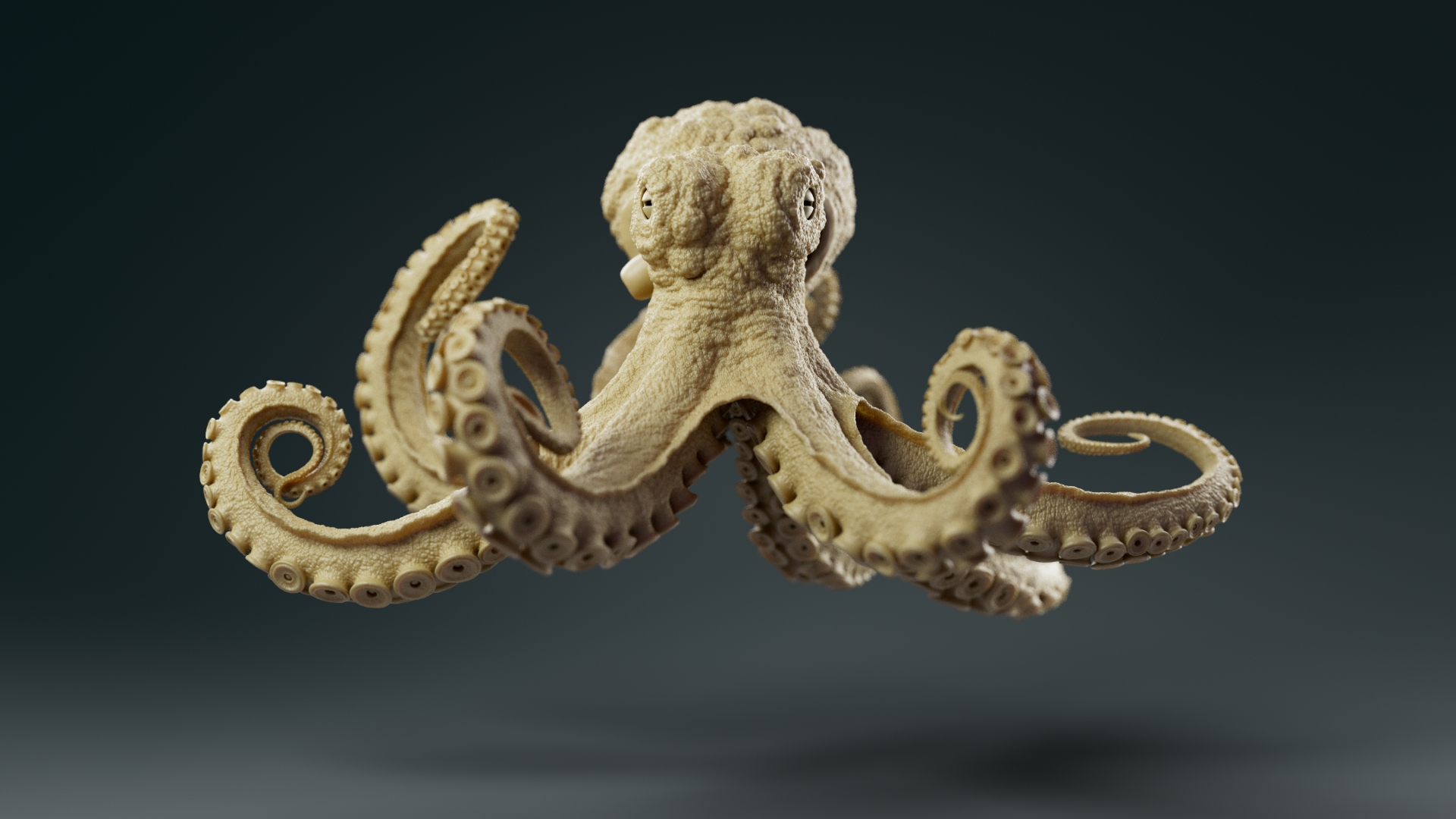 Octopus_model_turntableRig_SSS_ZBrushCentral_v021_0001.jpg