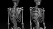 skelthumb.jpg