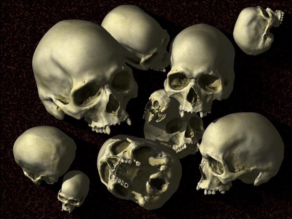 skulleDocument.jpg
