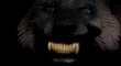 WOLVERINE 15.jpg