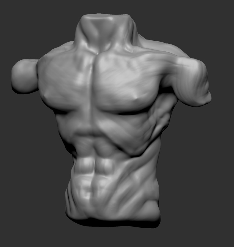 torso Sketch.jpg
