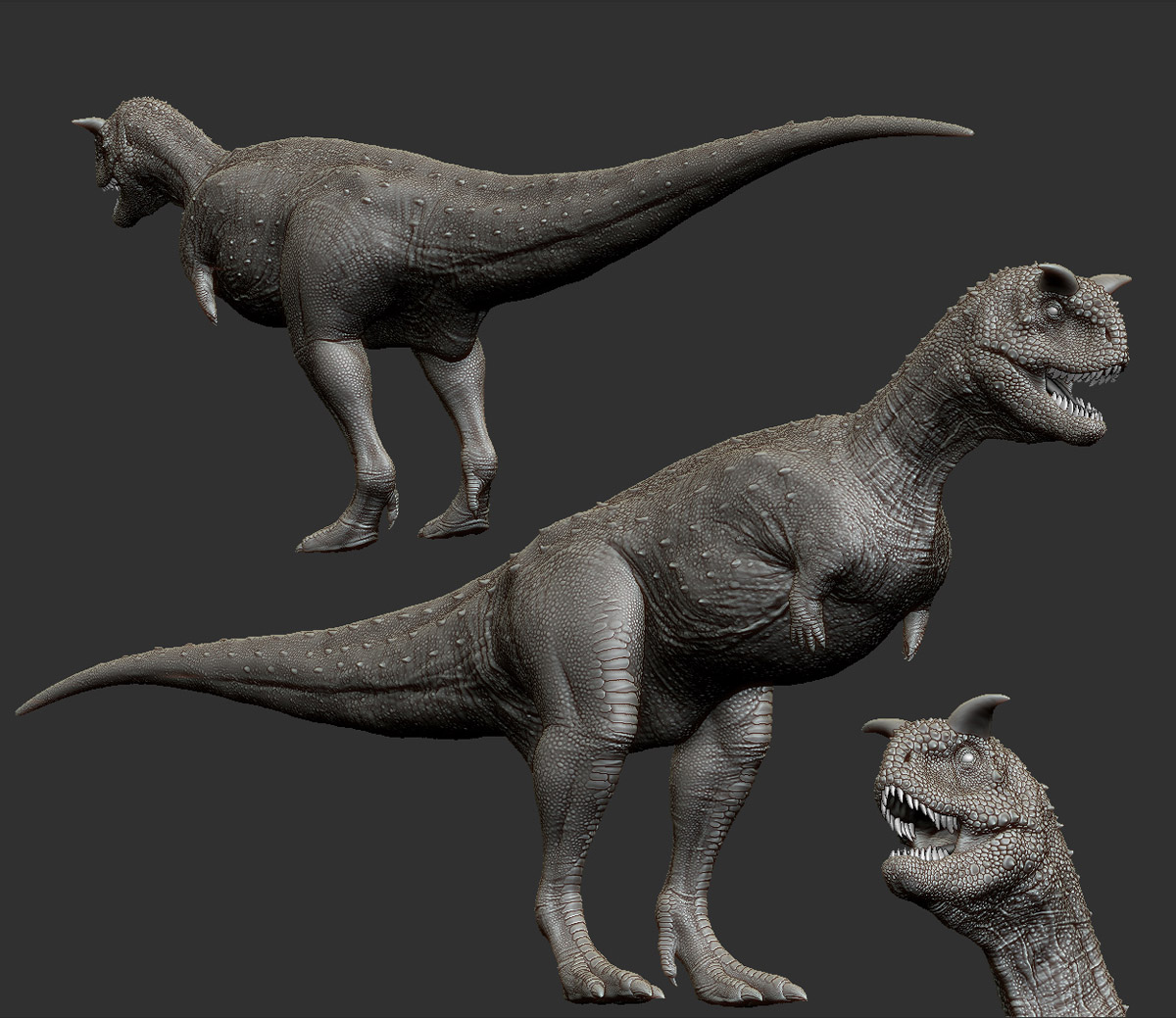 smallcg4.jpg