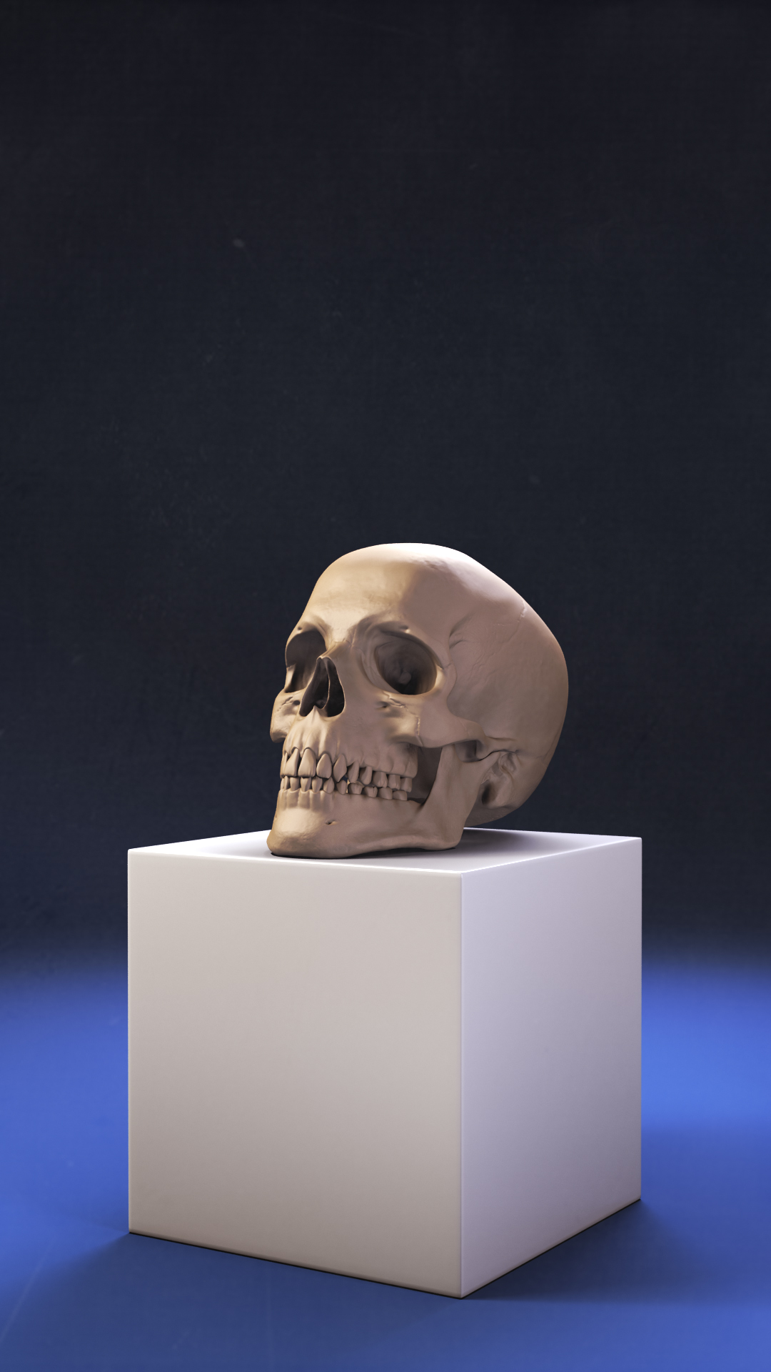 skull_box_dirty_V002.jpg