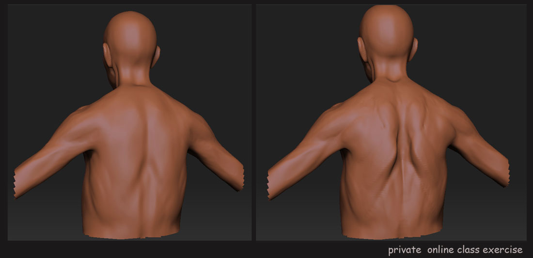 body_exercise_7