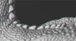 parasaur_wip09_thumb.jpg