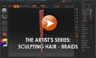braids_excerpt.jpg