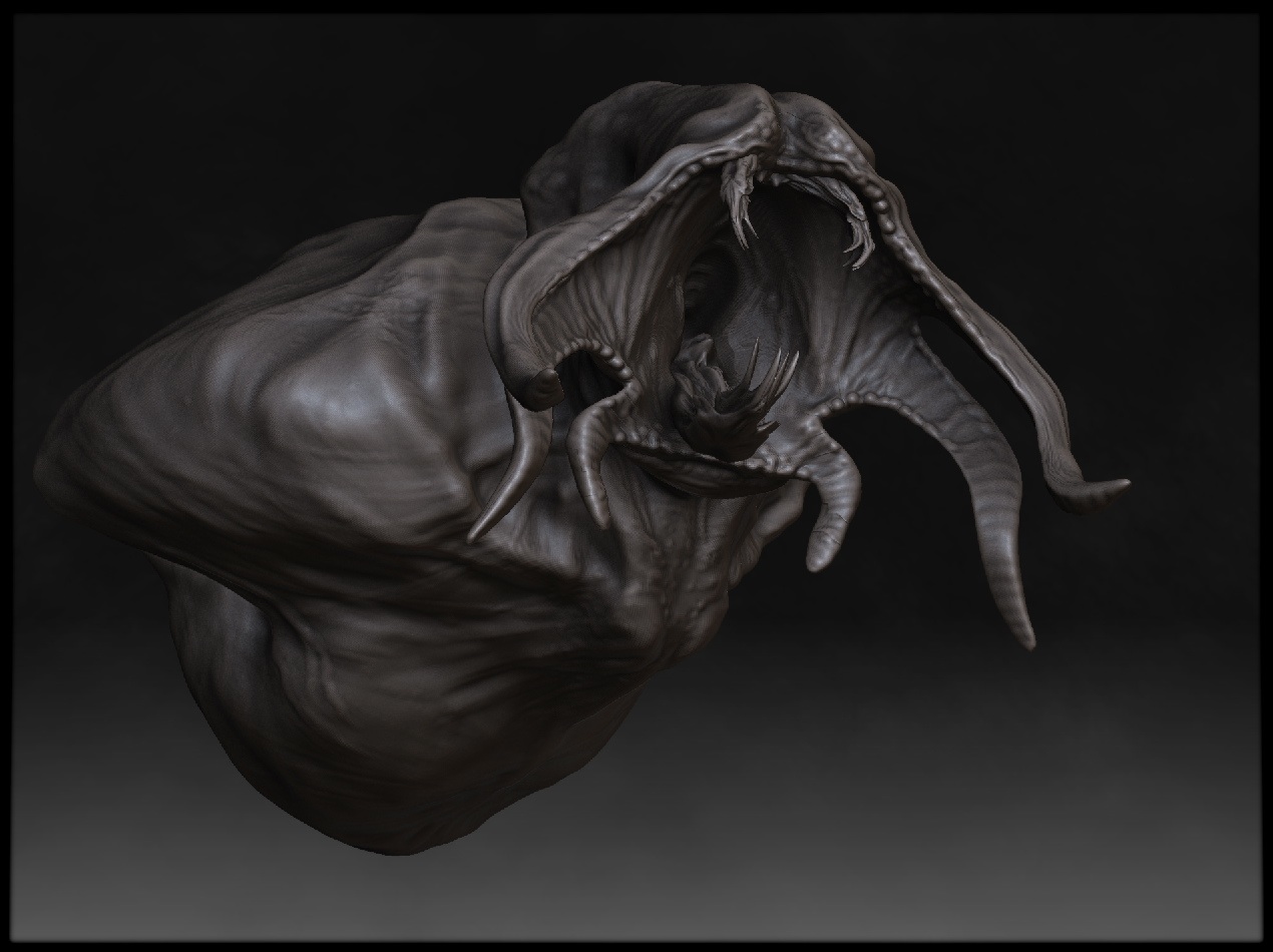 Cephliafn1.jpg