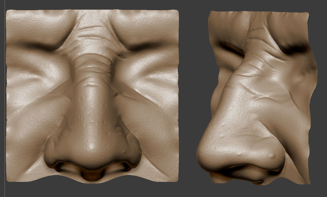 Daily_AnatomyStudyNose.jpg
