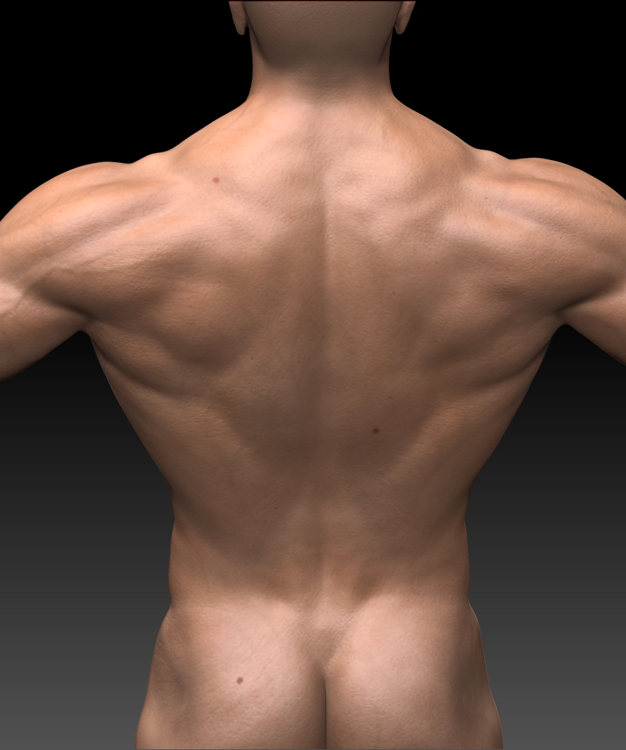 back_detail.jpg