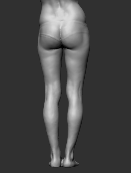 fem anatom3.jpg