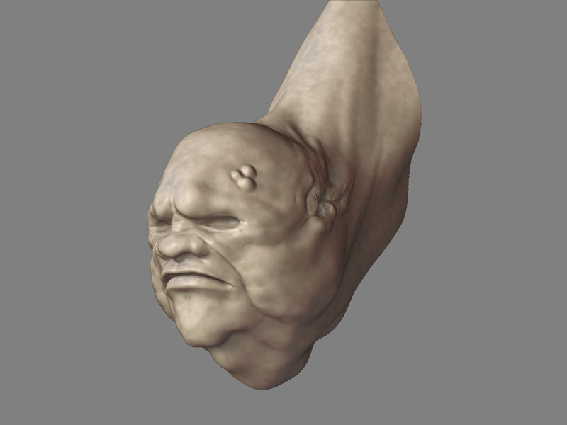 LibHead1a.jpg