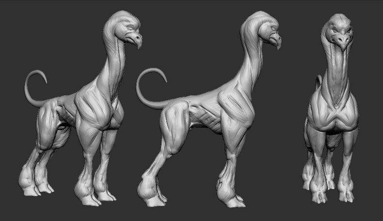 dog.jpg