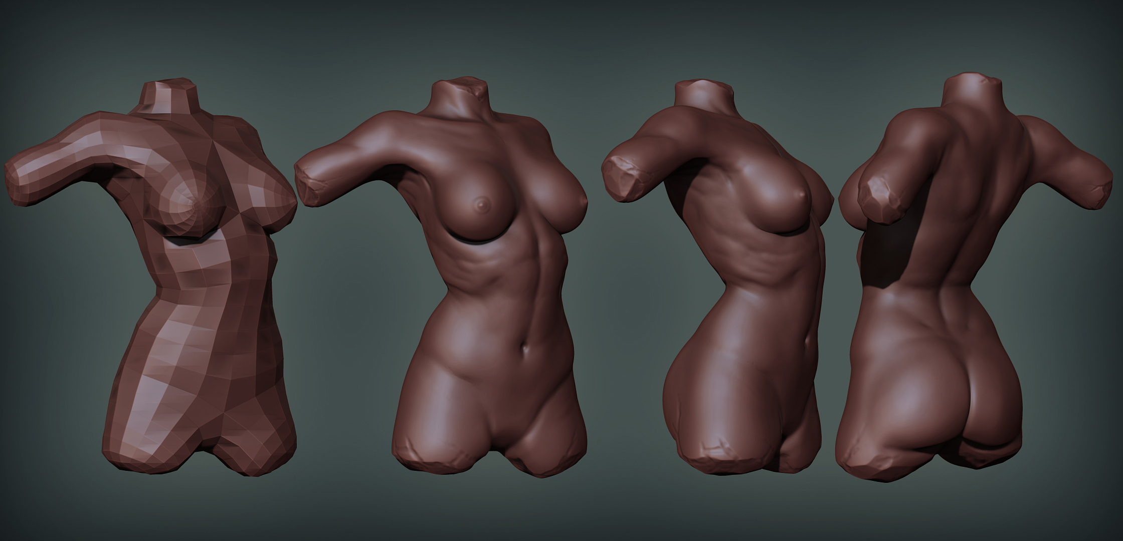 femaletorsosketch.jpg