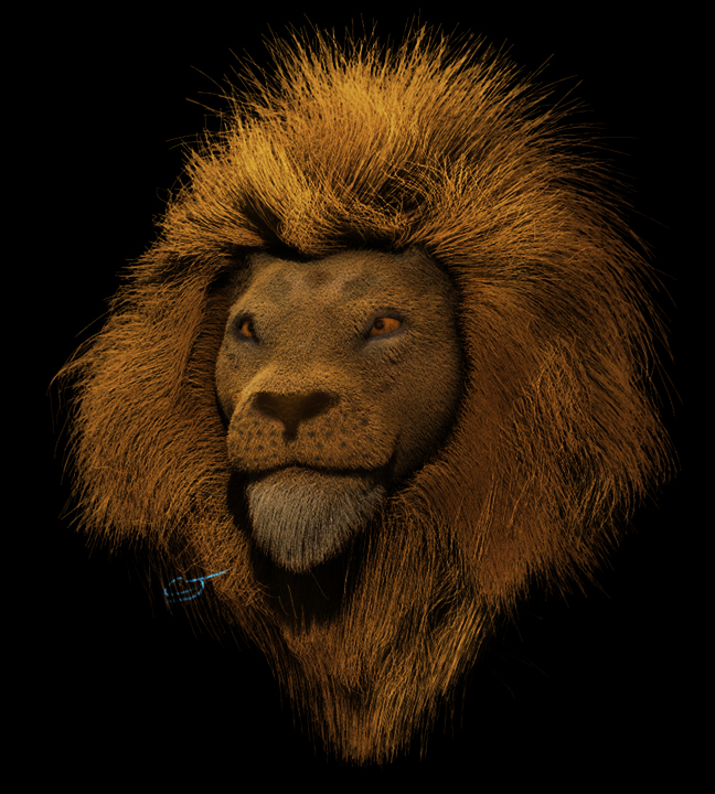 lionsmall.jpg