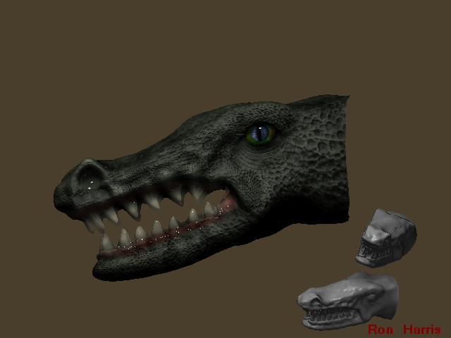 gatorChallenge1.jpg