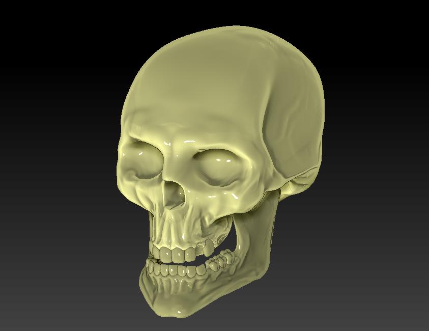 skullpic.jpg