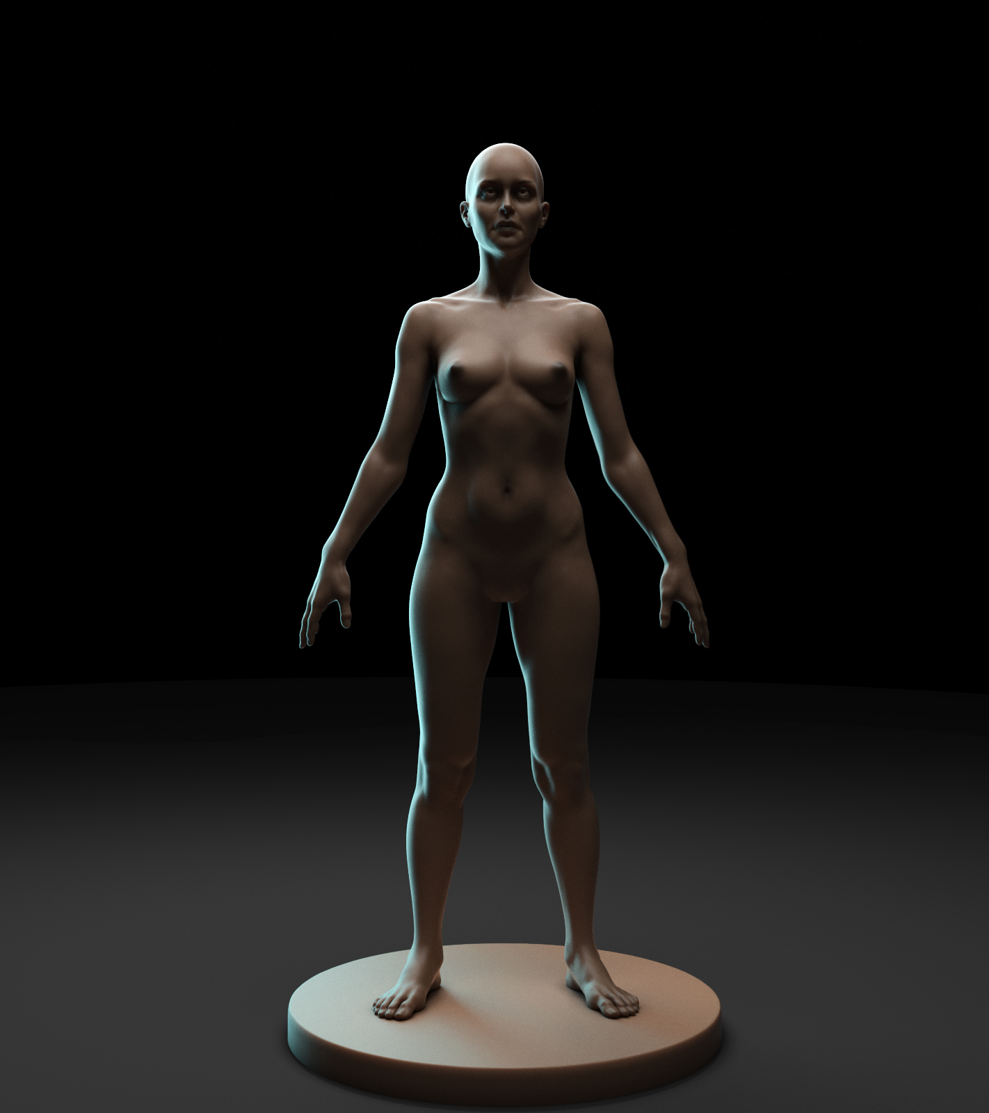 female_anatomy.jpg