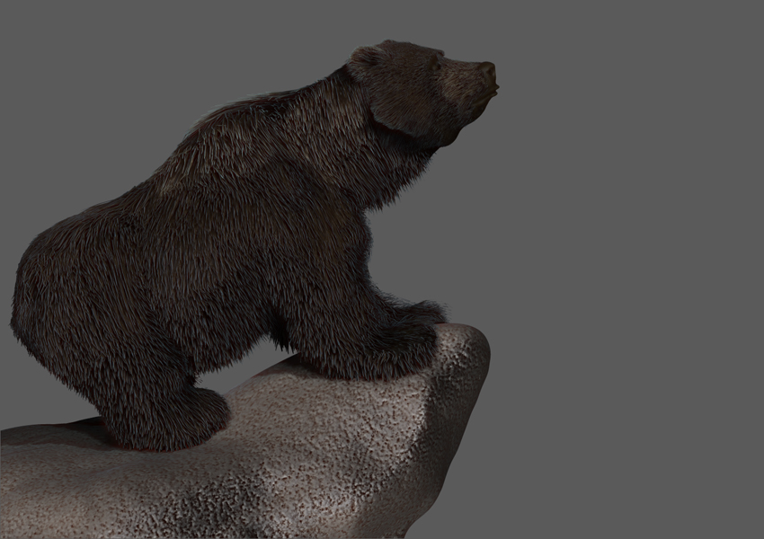 GRIZZLY FUR CLIFF 4.jpg